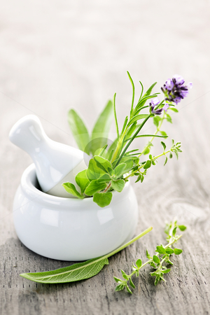 To use this stock image in your creative project, please select the size you need over to the right and click the "Add to Cart" button.
Your downloaded image will come with the Cutcaster watermark removed so don’t worry about the watermark you see on this page. Healing herbs in mortar and pestle stock photo, Healing herbs in white ceramic mortar and pestle by Elena Elisseeva