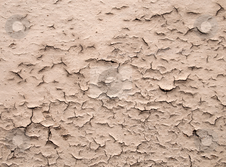 To use this stock image in your creative project, please select the size you need over to the right and click the "Add to Cart" button.
Your downloaded image will come with the Cutcaster watermark removed so don’t worry about the watermark you see on this page. Dirty old cracked wall coating. stock photo, Dirty old cracked wall coating. by Stephen Rees