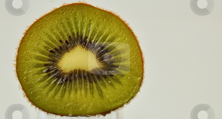 To use this stock image in your creative project, please select the size you need over to the right and click the "Add to Cart" button.
Your downloaded image will come with the Cutcaster watermark removed so don’t worry about the watermark you see on this page. Kiwi Fruit stock photo, Sliced Kiwi by Richard Sheehan
