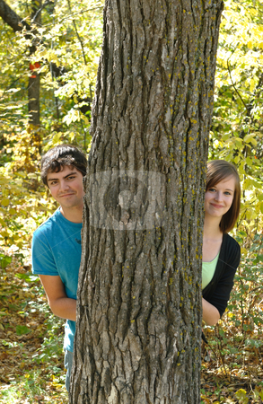 To use this stock image in your creative project, please select the size you need over to the right and click the "Add to Cart" button.
Your downloaded image will come with the Cutcaster watermark removed so don’t worry about the watermark you see on this page. Teen Couple stock photo, A teen couple peeking out from behind a tree in the forest by Richard Nelson