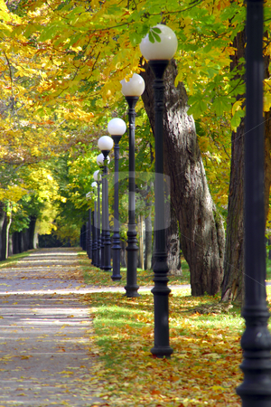 To use this stock image in your creative project, please select the size you need over to the right and click the "Add to Cart" button.
Your downloaded image will come with the Cutcaster watermark removed so don’t worry about the watermark you see on this page. Autumn alley stock photo, Sunny day in park during fall, alley with metal post lamps by Vadim Pats