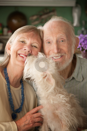 To use this stock image in your creative project, please select the size you need over to the right and click the "Add to Cart" button.
Your downloaded image will come with the Cutcaster watermark removed so don’t worry about the watermark you see on this page. Senior Couple With Dog stock photo, Senior couple with cute white dog by Scott Griessel