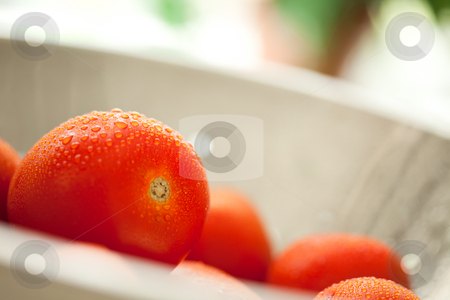 To use this stock image in your creative project, please select the size you need over to the right and click the "Add to Cart" button.
Your downloaded image will come with the Cutcaster watermark removed so don’t worry about the watermark you see on this page. Fresh, Vibrant Roma Tomatoes in Colander with Water Drops stock photo, Macro of Fresh, Vibrant Roma Tomatoes in Colander with Water Drops Abstract. by Andy Dean