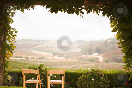 To use this stock image in your creative project, please select the size you need over to the right and click the "Add to Cart" button.
Your downloaded image will come with the Cutcaster watermark removed so don’t worry about the watermark you see on this page. Vine Covered Patio and Chairs Overlooking the Country stock photo, Vine Covered Patio and Chairs with Beautiful Country View. by Andy Dean