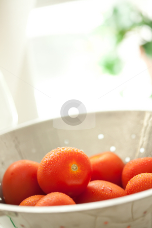 To use this stock image in your creative project, please select the size you need over to the right and click the "Add to Cart" button.
Your downloaded image will come with the Cutcaster watermark removed so don’t worry about the watermark you see on this page. Fresh, Vibrant Roma Tomatoes in Colander with Water Drops stock photo, Macro of Fresh, Vibrant Roma Tomatoes in Colander with Water Drops Abstract. by Andy Dean