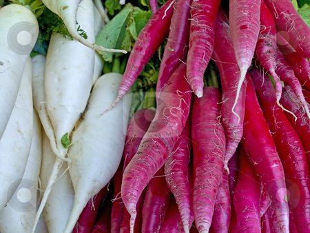 To use this stock image in your creative project, please select the size you need over to the right and click the "Add to Cart" button.
Your downloaded image will come with the Cutcaster watermark removed so don’t worry about the watermark you see on this page. Red and white radish stock photo, Red and white radish by Hans-Joachim Schneider