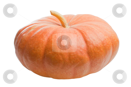 To use this stock image in your creative project, please select the size you need over to the right and click the "Add to Cart" button.
Your downloaded image will come with the Cutcaster watermark removed so don’t worry about the watermark you see on this page. Pumpkin isolated stock photo, Pumpkin isolated on white background by Alex Varlakov