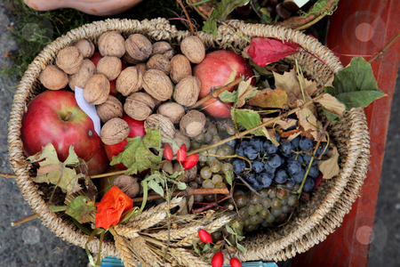 To use this stock image in your creative project, please select the size you need over to the right and click the "Add to Cart" button.
Your downloaded image will come with the Cutcaster watermark removed so don’t worry about the watermark you see on this page. Autumn Harvest stock photo, Thanksgiving day in Croatia 2010. by Zvonimir Atletic