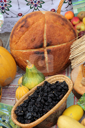 To use this stock image in your creative project, please select the size you need over to the right and click the "Add to Cart" button.
Your downloaded image will come with the Cutcaster watermark removed so don’t worry about the watermark you see on this page. Autumn Harvest stock photo, by Zvonimir Atletic
