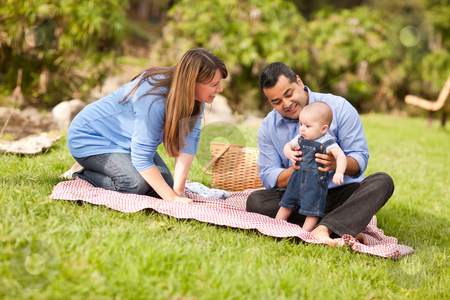 To use this stock image in your creative project, please select the size you need over to the right and click the "Add to Cart" button.
Your downloaded image will come with the Cutcaster watermark removed so don’t worry about the watermark you see on this page. Happy Mixed Race Family Playing In The Park stock photo, Happy Mixed Race Family Having a Picnic and Playing In The Park. by Andy Dean