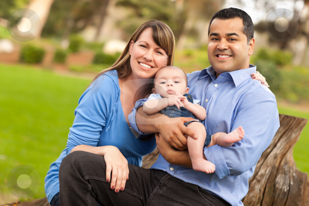To use this stock image in your creative project, please select the size you need over to the right and click the "Add to Cart" button.
Your downloaded image will come with the Cutcaster watermark removed so don’t worry about the watermark you see on this page. Happy Mixed Race Family Posing for A Portrait stock photo, Happy Mixed Race Family Posing for A Portrait in the Park. by Andy Dean