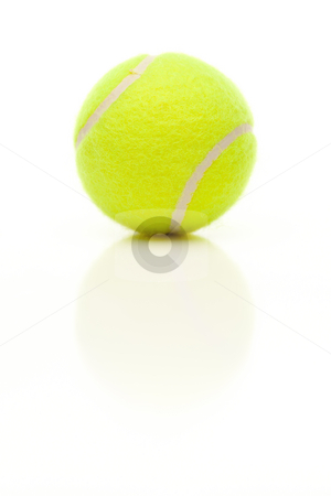 To use this stock image in your creative project, please select the size you need over to the right and click the "Add to Cart" button.
Your downloaded image will come with the Cutcaster watermark removed so don’t worry about the watermark you see on this page. Single Tennis Ball on White with Slight Reflection stock photo, Single Tennis Ball with Slight Reflection Isolated on a White Background. by Andy Dean