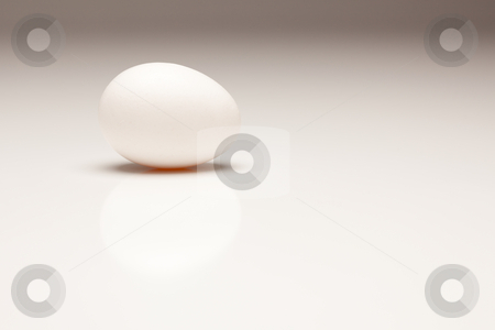 To use this stock image in your creative project, please select the size you need over to the right and click the "Add to Cart" button.
Your downloaded image will come with the Cutcaster watermark removed so don’t worry about the watermark you see on this page. White Egg on Gradated Background stock photo, White Egg Isolated on a Gradated Background. by Andy Dean