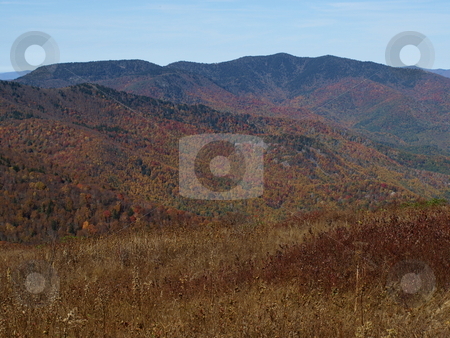 To use this stock image in your creative project, please select the size you need over to the right and click the "Add to Cart" button.
Your downloaded image will come with the Cutcaster watermark removed so don’t worry about the watermark you see on this page. Fall stock photo, Along the trail in North Carolina. Views along the Art Loeb Trail. by Tim Markley
