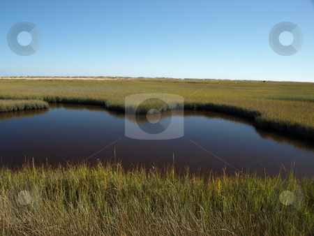 To use this stock image in your creative project, please select the size you need over to the right and click the "Add to Cart" button.
Your downloaded image will come with the Cutcaster watermark removed so don’t worry about the watermark you see on this page. Marsh water stock photo, View of a marsh along the North Carolina Shore by Tim Markley