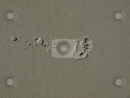 To use this stock image in your creative project, please select the size you need over to the right and click the "Add to Cart" button.
Your downloaded image will come with the Cutcaster watermark removed so don’t worry about the watermark you see on this page. Footprint in the sand stock photo, Footprint in the sand along the shore in North Carolina by Tim Markley