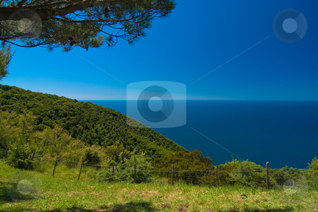 To use this stock image in your creative project, please select the size you need over to the right and click the "Add to Cart" button.
Your downloaded image will come with the Cutcaster watermark removed so don’t worry about the watermark you see on this page. Golfo die Baratti, Toskana/Tuscany stock photo, Golfo die Baratti, Toskana/Tuscany by Wolfgang Heidasch