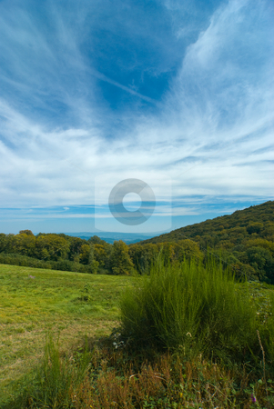 To use this stock image in your creative project, please select the size you need over to the right and click the "Add to Cart" button.
Your downloaded image will come with the Cutcaster watermark removed so don’t worry about the watermark you see on this page. Landschaft im Morvan, Burgund, Frankreich - Landscape in Morvan, stock photo, Burgund (franz?sisch Bourgogne ist eine Region im Zentrum Frankreichs. - Burgundy (French: Bourgogne) is one of the 26 regions of France. by Wolfgang Heidasch