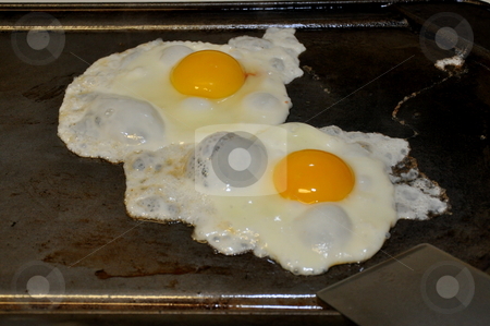 To use this stock image in your creative project, please select the size you need over to the right and click the "Add to Cart" button.
Your downloaded image will come with the Cutcaster watermark removed so don’t worry about the watermark you see on this page. Fried Eggs stock photo, Eggs Grilling by Richard Sheehan