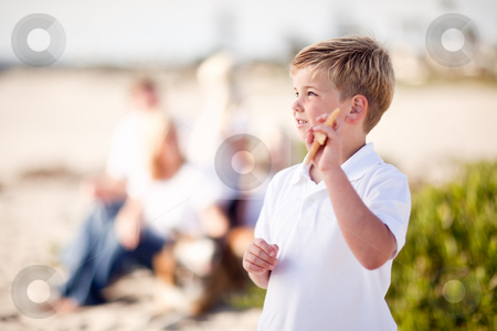 To use this stock image in your creative project, please select the size you need over to the right and click the "Add to Cart" button.
Your downloaded image will come with the Cutcaster watermark removed so don’t worry about the watermark you see on this page. Cute Little Blonde Boy Showing Off His Starfish stock photo, Cute Little Blonde Boy Showing Off His Starfish at the Beach. by Andy Dean