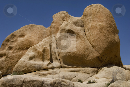To use this stock image in your creative project, please select the size you need over to the right and click the "Add to Cart" button.
Your downloaded image will come with the Cutcaster watermark removed so don’t worry about the watermark you see on this page. Rhino Rock stock photo, The rock on the right looks like a rhino's horn. The desert landscape of Joshua Tree National Park, California. by Mary Lane