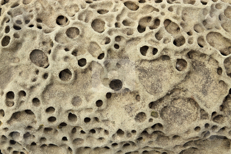 To use this stock image in your creative project, please select the size you need over to the right and click the "Add to Cart" button.
Your downloaded image will come with the Cutcaster watermark removed so don’t worry about the watermark you see on this page. Rock erosion holes close up. stock photo, Rock erosion holes sea wall in Western-Super-Mare. by Stephen Rees
