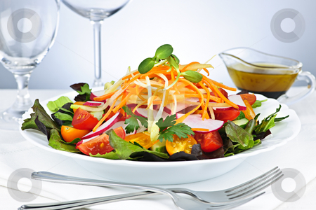 To use this stock image in your creative project, please select the size you need over to the right and click the "Add to Cart" button.
Your downloaded image will come with the Cutcaster watermark removed so don’t worry about the watermark you see on this page. Garden salad stock photo, Plate of healthy green garden salad with fresh vegetables served with balsamic dressing by Elena Elisseeva