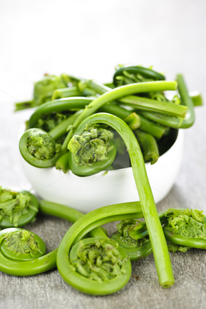 To use this stock image in your creative project, please select the size you need over to the right and click the "Add to Cart" button.
Your downloaded image will come with the Cutcaster watermark removed so don’t worry about the watermark you see on this page. Fiddleheads stock photo, Fresh spring wild fiddleheads in a bowl by Elena Elisseeva