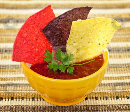 To use this stock image in your creative project, please select the size you need over to the right and click the "Add to Cart" button.
Your downloaded image will come with the Cutcaster watermark removed so don’t worry about the watermark you see on this page. Tortilla chips and salsa stock photo, Bowl of salsa with colorful tortilla chips by Elena Elisseeva