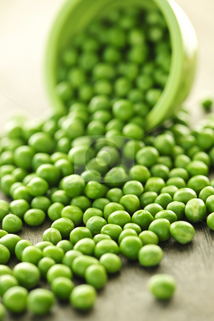 To use this stock image in your creative project, please select the size you need over to the right and click the "Add to Cart" button.
Your downloaded image will come with the Cutcaster watermark removed so don’t worry about the watermark you see on this page. Spilled bowl of green peas stock photo, Closeup on spilling bowl of fresh green green peas by Elena Elisseeva