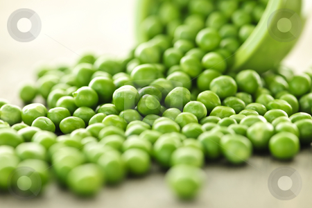To use this stock image in your creative project, please select the size you need over to the right and click the "Add to Cart" button.
Your downloaded image will come with the Cutcaster watermark removed so don’t worry about the watermark you see on this page. Spilled bowl of green peas stock photo, Closeup on spilling bowl of fresh green green peas by Elena Elisseeva