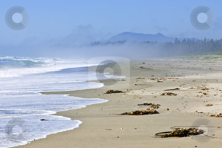 To use this stock image in your creative project, please select the size you need over to the right and click the "Add to Cart" button.
Your downloaded image will come with the Cutcaster watermark removed so don’t worry about the watermark you see on this page. Coast of Pacific ocean in Canada stock photo, Long Beach in Pacific Rim National park, Canada by Elena Elisseeva