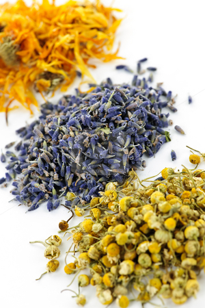 To use this stock image in your creative project, please select the size you need over to the right and click the "Add to Cart" button.
Your downloaded image will come with the Cutcaster watermark removed so don’t worry about the watermark you see on this page. Dried medicinal herbs stock photo, Piles of dried medicinal herbs camomile, lavender, calendula on white background by Elena Elisseeva