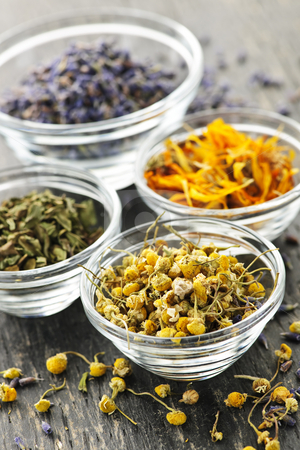 To use this stock image in your creative project, please select the size you need over to the right and click the "Add to Cart" button.
Your downloaded image will come with the Cutcaster watermark removed so don’t worry about the watermark you see on this page. Dried medicinal herbs stock photo, Assortment of dry medicinal herbs in glass bowls by Elena Elisseeva