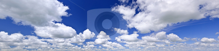 To use this stock image in your creative project, please select the size you need over to the right and click the "Add to Cart" button.
Your downloaded image will come with the Cutcaster watermark removed so don’t worry about the watermark you see on this page. Blue cloudy sky panorama stock photo, Panoramic background of blue sky with white cumulus clouds by Elena Elisseeva