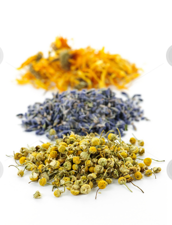To use this stock image in your creative project, please select the size you need over to the right and click the "Add to Cart" button.
Your downloaded image will come with the Cutcaster watermark removed so don’t worry about the watermark you see on this page. Dried medicinal herbs stock photo, Piles of dried medicinal herbs camomile, lavender, calendula on white background by Elena Elisseeva