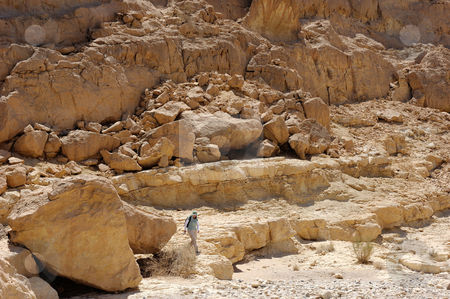 To use this stock image in your creative project, please select the size you need over to the right and click the "Add to Cart" button.
Your downloaded image will come with the Cutcaster watermark removed so don’t worry about the watermark you see on this page. Makhtesh Ramon stock photo, Stones of Makhtesh Ramon, unique crater in Israel by Vladimir Blinov