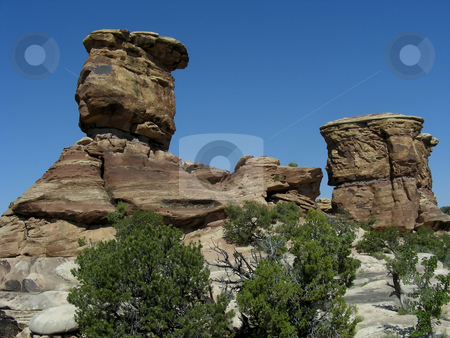 To use this stock image in your creative project, please select the size you need over to the right and click the "Add to Cart" button.
Your downloaded image will come with the Cutcaster watermark removed so don’t worry about the watermark you see on this page. Top Hats stock photo, Hoodoos looking like a set of top hats - Canyonlands National Park, Moab, Utah. by Mary Lane