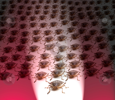 To use this stock image in your creative project, please select the size you need over to the right and click the "Add to Cart" button.
Your downloaded image will come with the Cutcaster watermark removed so don’t worry about the watermark you see on this page. Army of Brown Stink Bugs stock photo, Large crowd of Brown Marmorated Stink Bug or Shield Bug spot lit with white beam against red background by Steven Heap
