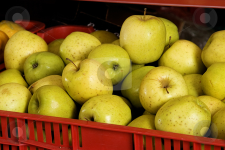 To use this stock image in your creative project, please select the size you need over to the right and click the "Add to Cart" button.
Your downloaded image will come with the Cutcaster watermark removed so don’t worry about the watermark you see on this page. Red box with fresh green apples stock photo, Red box with fresh green apples ready for market by caimacanul