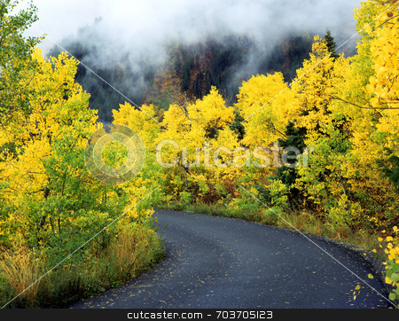 To use this stock image in your creative project, please select the size you need over to the right and click the "Add to Cart" button.
Your downloaded image will come with the Cutcaster watermark removed so don’t worry about the watermark you see on this page. Aspen Road stock photo, An asphalt road through a foggy aspen forest. by Mike Norton