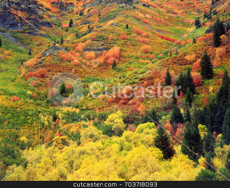 To use this stock image in your creative project, please select the size you need over to the right and click the "Add to Cart" button.
Your downloaded image will come with the Cutcaster watermark removed so don’t worry about the watermark you see on this page. Autumn Tapestry stock photo, Fall colors on the side of a mountain in Utah. by Mike Norton