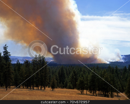 To use this stock image in your creative project, please select the size you need over to the right and click the "Add to Cart" button.
Your downloaded image will come with the Cutcaster watermark removed so don’t worry about the watermark you see on this page. Forest Fire stock photo, A forest fire in Wallowa-Whitman National Forest, Oregon. by Mike Norton