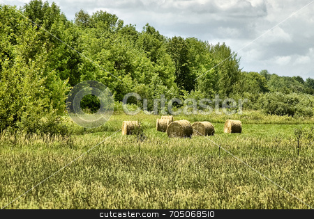 To use this stock image in your creative project, please select the size you need over to the right and click the "Add to Cart" button.
Your downloaded image will come with the Cutcaster watermark removed so don’t worry about the watermark you see on this page. Round Bales in Field stock photo, Round hay bales in a farm field. by J. Gracey Stinson