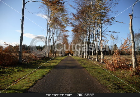 To use this stock image in your creative project, please select the size you need over to the right and click the "Add to Cart" button.
Your downloaded image will come with the Cutcaster watermark removed so don’t worry about the watermark you see on this page. Path to Castle stock photo, A path leading to Brodie Castle, Scotland. by Daniel Wiedemann