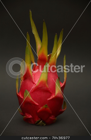 To use this stock image in your creative project, please select the size you need over to the right and click the "Add to Cart" button.
Your downloaded image will come with the Cutcaster watermark removed so don’t worry about the watermark you see on this page. Dragon Fruit stock photo, The rare Dragon Fruit on a dark background. by Daniel Wiedemann