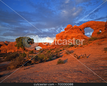 To use this stock image in your creative project, please select the size you need over to the right and click the "Add to Cart" button.
Your downloaded image will come with the Cutcaster watermark removed so don’t worry about the watermark you see on this page. North Window and Turret Arches stock photo, North Window & Turret Arches in Arches National Park, Utah. by Mike Norton