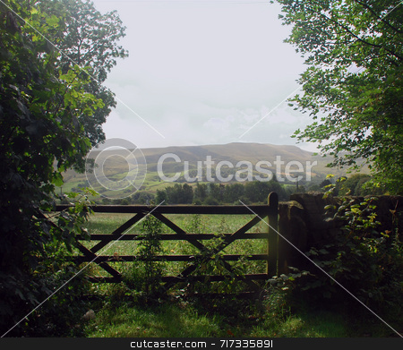 To use this stock image in your creative project, please select the size you need over to the right and click the "Add to Cart" button.
Your downloaded image will come with the Cutcaster watermark removed so don’t worry about the watermark you see on this page. Gate to the Countryside stock photo, View through a farm gate to the British countryside by Philippa Willitts