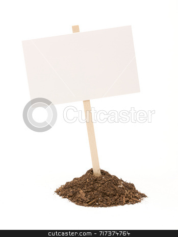 To use this stock image in your creative project, please select the size you need over to the right and click the "Add to Cart" button.
Your downloaded image will come with the Cutcaster watermark removed so don’t worry about the watermark you see on this page. Blank White Sign in Dirt Pile Isolated stock photo, Blank white sign in mount of dirt isolated on a white background. by Andy Dean