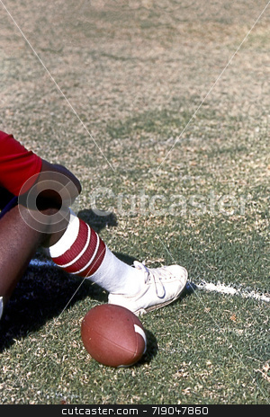 To use this stock image in your creative project, please select the size you need over to the right and click the "Add to Cart" button.
Your downloaded image will come with the Cutcaster watermark removed so don’t worry about the watermark you see on this page. Resting Football stock photo, by Marlene Cabais